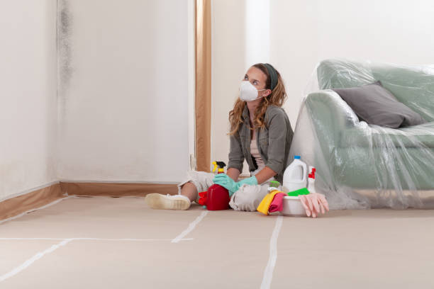Reliable Mold Removal contractor in Chevy Chase, MD by Mold Remediation HQ